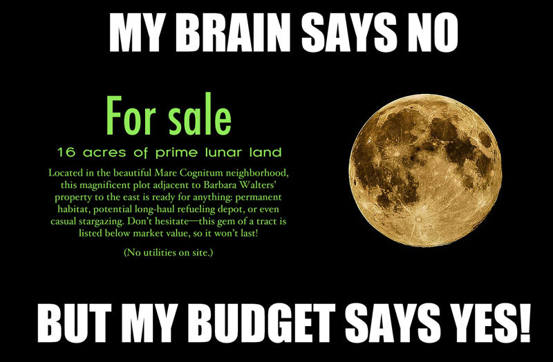 Say no to buying silly things just because your budget says you can.